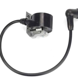 Bobina/modulo de encendido | BS160/220/280 |