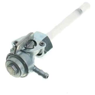 Paso de nafta rosca hembra | GN 5,5 ~ 15 hp |