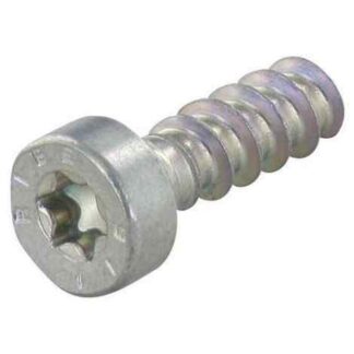 Tornillo | CS382 | IS-P6x19