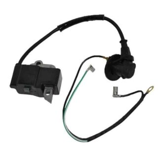 Bobina/modulo de encendido | CS 291 |